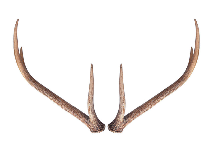 Wall Antlers